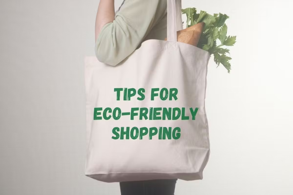 Sustainable Shopping Habits